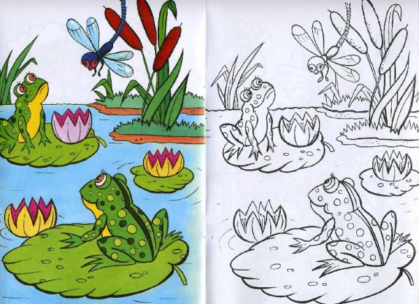 Болото раскраска для детей