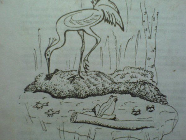 Рисунок Цапли на болоте карандашом