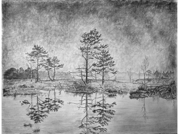 Природа карандашом