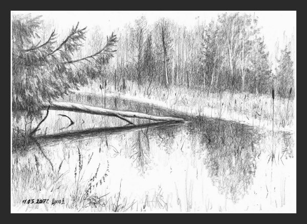 Болота карандашом