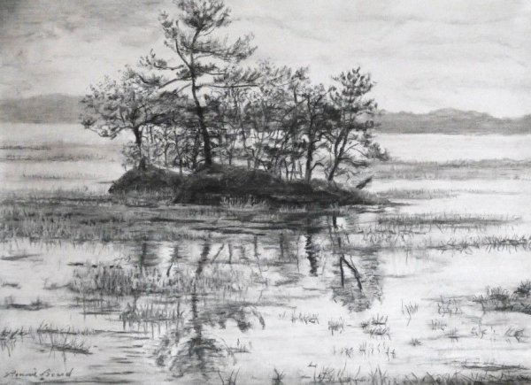 Болото рисунок