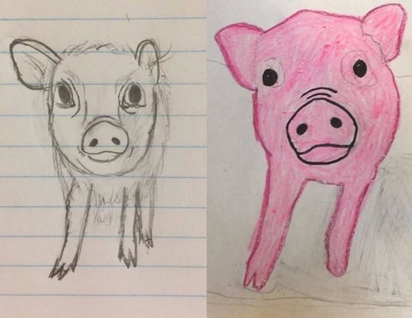 Рисунок мини пига