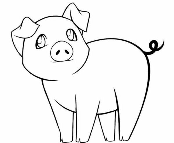Раскраска поросенок для детей 2-3 лет