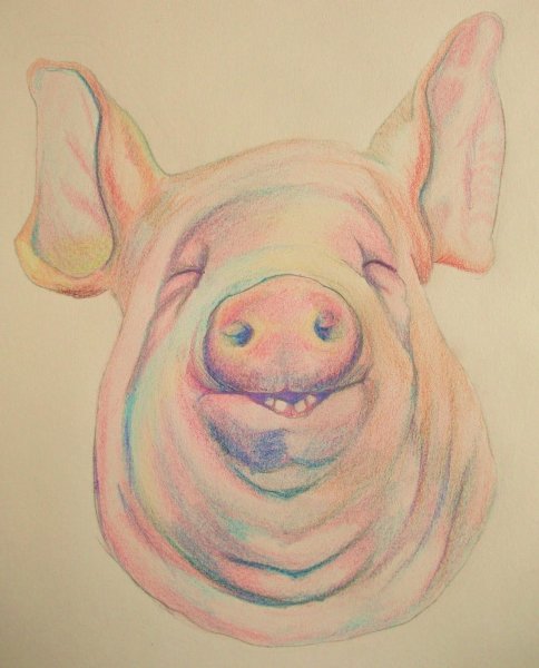 Свиноматка скетч