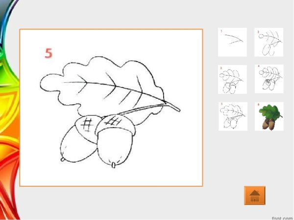 Рисование ветка дуба в подготовительной группе