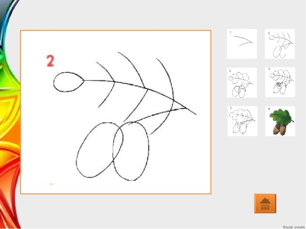 Поэтапное рисование Желудя