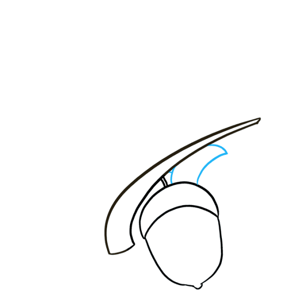 Поэтапное рисование Желудя