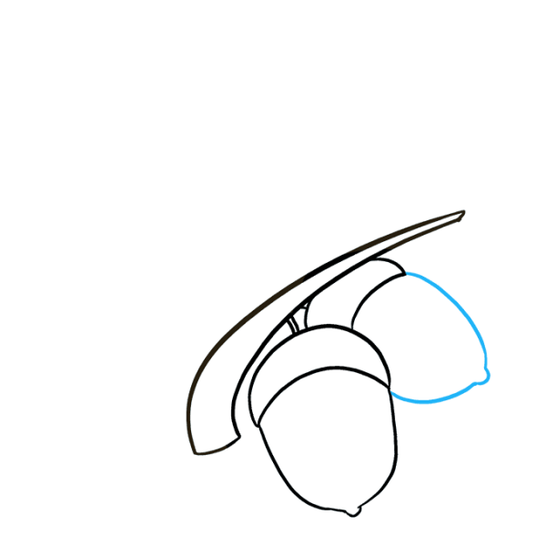 Поэтапное рисование шишки