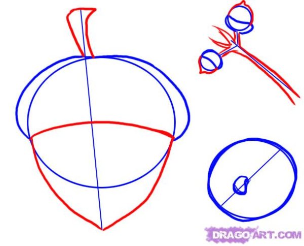 Веселый Желудь аппликация