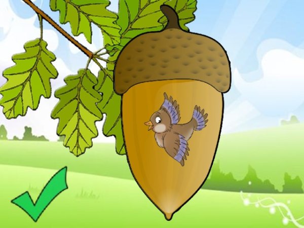 Рисование для детей Желудь красками