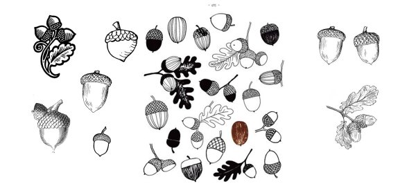 Листья дуба акварелью