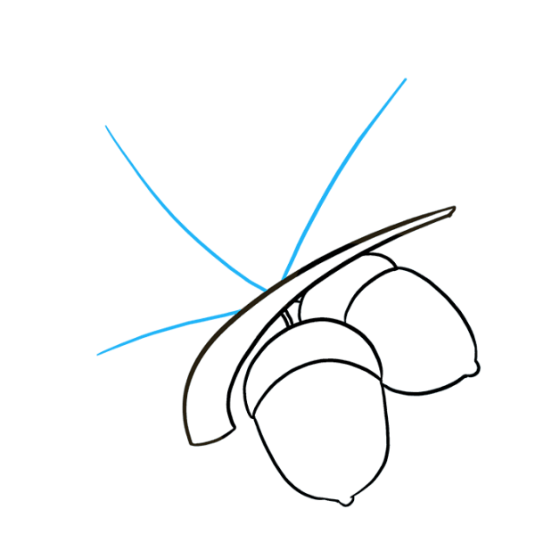 Поэтапное рисование листа дуба