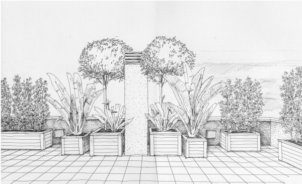 Ландшафт карандашом