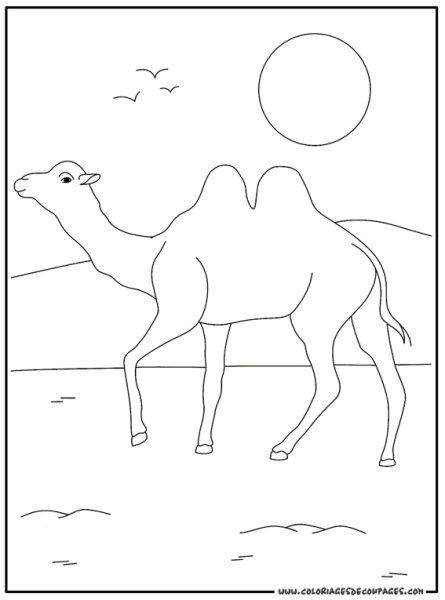 Рисование верблюда