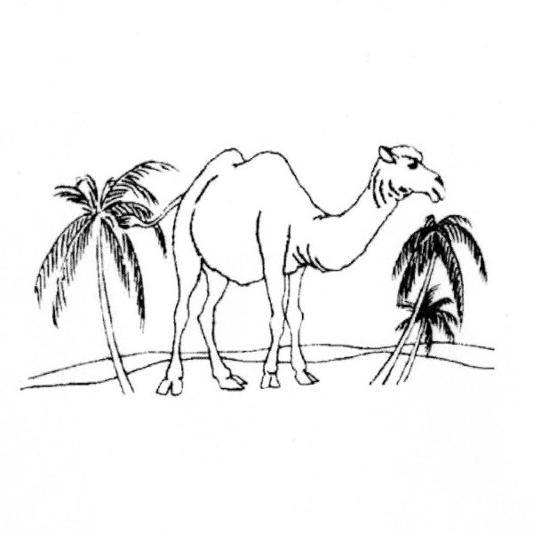 Раскраска пустыня с верблюдом