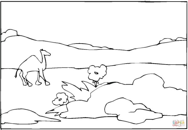 Степной пейзаж раскраска