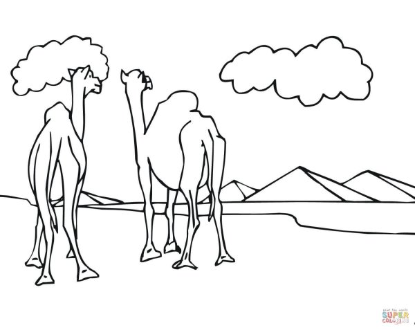 Раскраска пустыня с верблюдом
