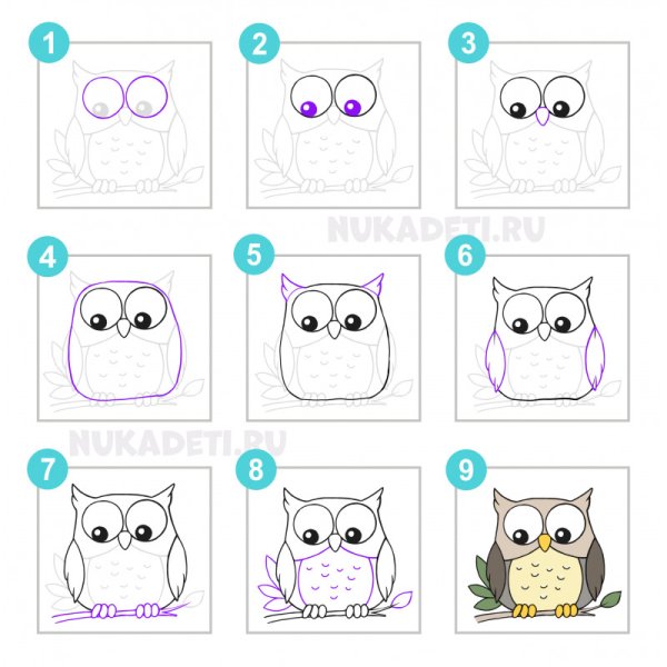 Алгоритмическая схема рисования Совы