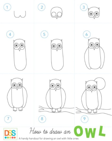 Поэтапное рисование Совы карандашом