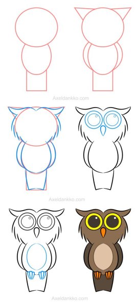 Пошаговое рисование Совы для детей