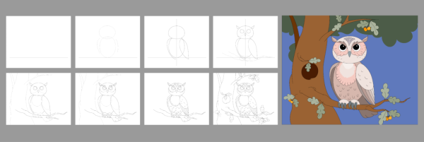 Поэтапное рисование Совы 4 класс