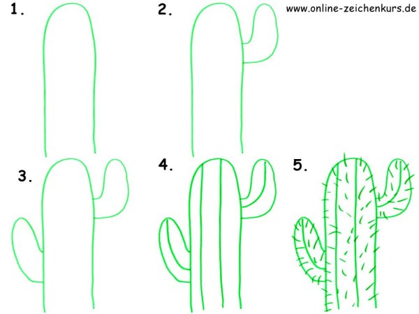 Кактус рисунок пошагово