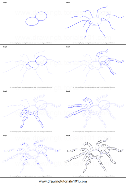 Поэтапное рисование паука для детей