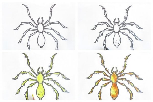 Паук для рисования