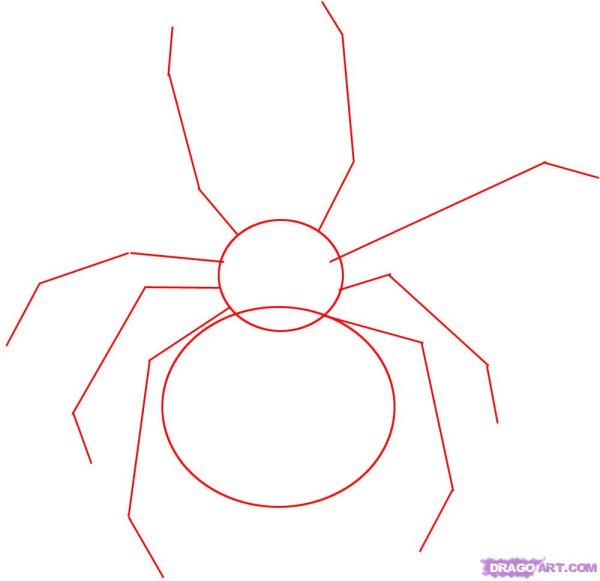 Как нарисовать паука для детей 5 лет