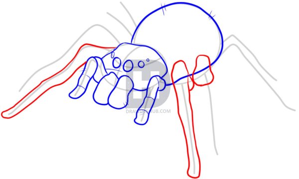 Схема рисования паучок для детей