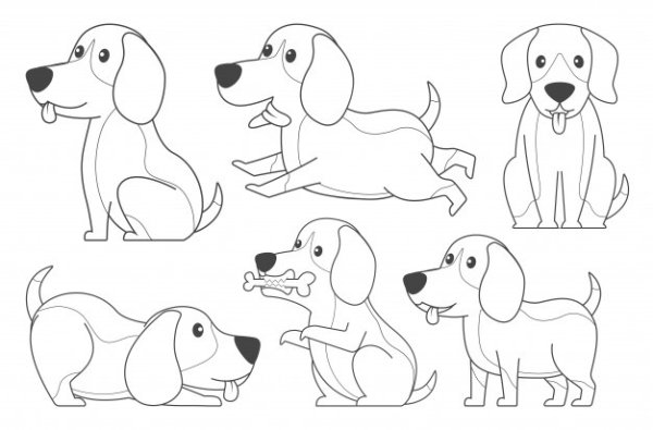 Раскраска Бигль