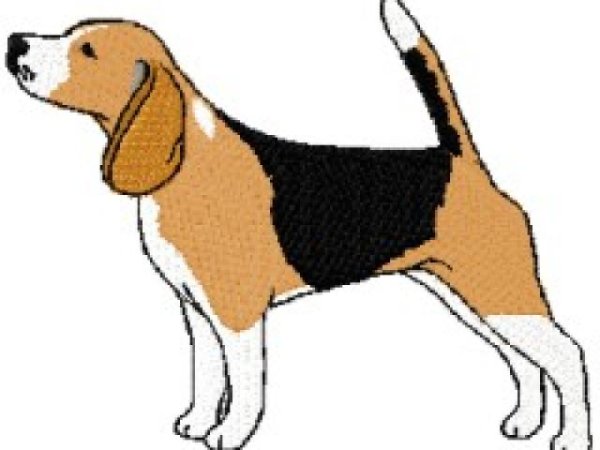 Как нарисовать собаку эстонскую гончую