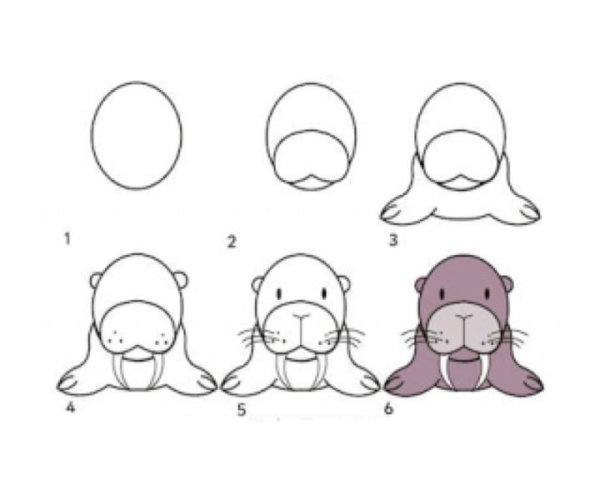 Морж пошаговое рисование