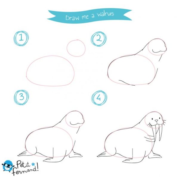 Рисование животных севера