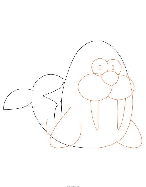 Морж рисунок для детей