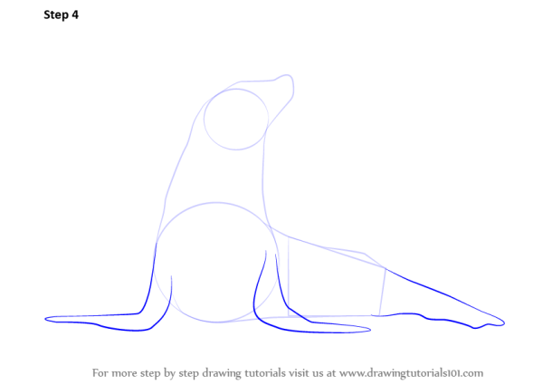 Научиться рисовать тюленя