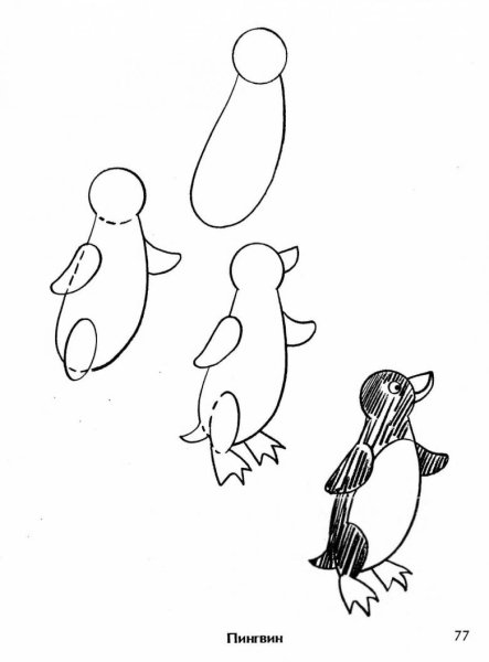 Поэтапное рисование пингвина для дошкольников
