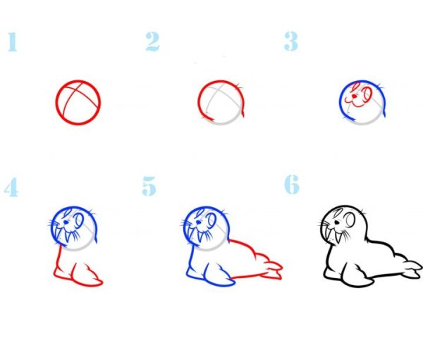 Поэтапное рисование тюленя для детей