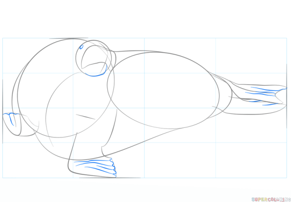 Поэтапное рисование моржа