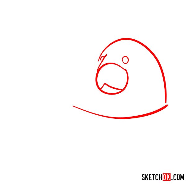 Морж рисовать пошагово