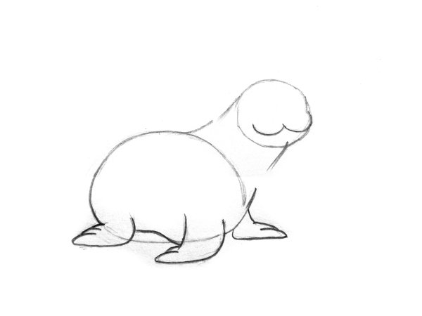 Поэтапное рисование моржа для детей