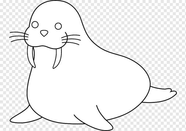 Морж раскраска для детей