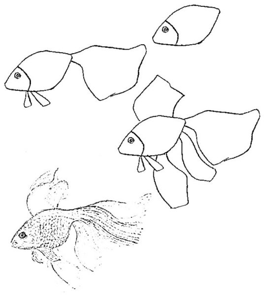 Рисование рыбки