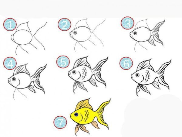 Рисуем рыбу поэтапно