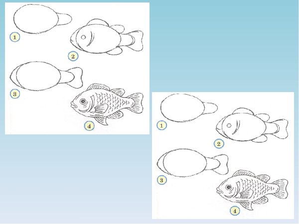 Последовательное рисование рыб для детей