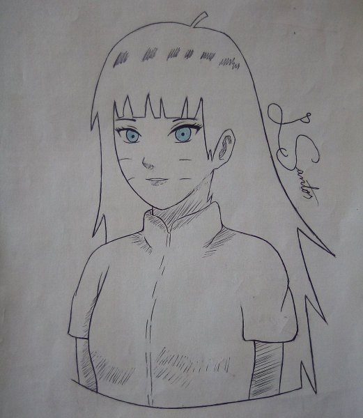 Химавари рисунок карандашом