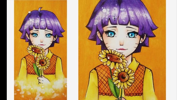 Химавари для срисовки