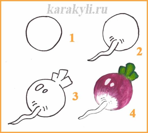 Поэтапное рисование овощей и фруктов для детей