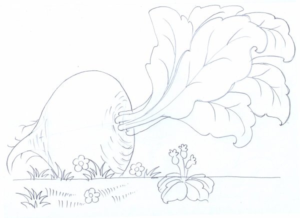 Сказки-раскраски. Репка