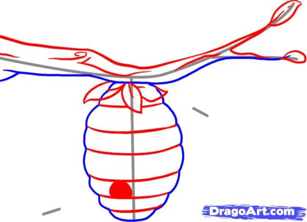 Пчелиные ульи